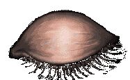 eye.gif